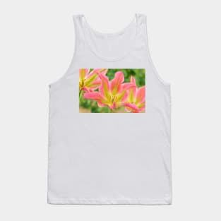 Tulipa &#39;Virichic&#39; Viridiflora Group Tulip Tank Top